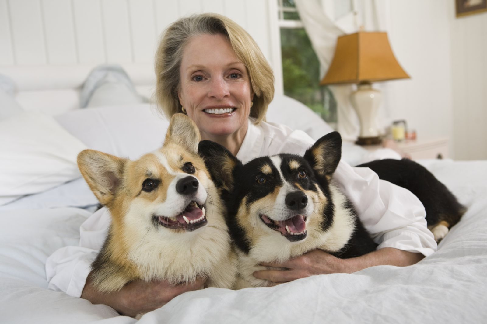 Best Service Dogs For Elderly Best Service Dogs For Elderly
